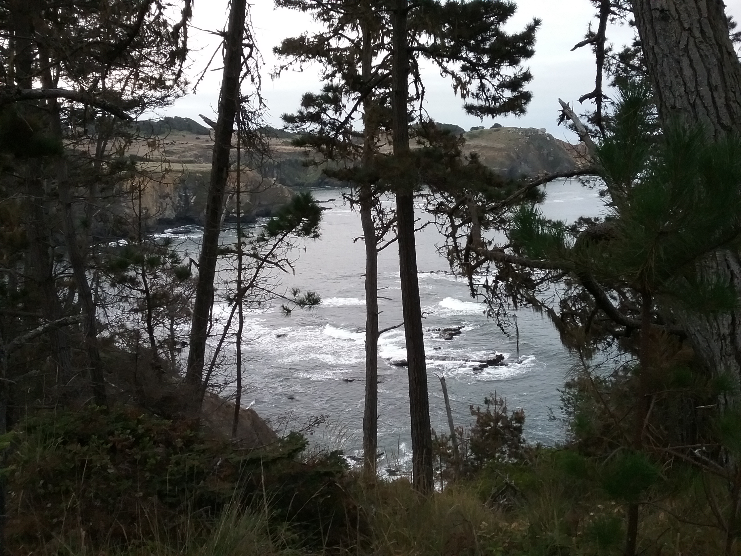 View from the Sonoma County Coast. (Kashia Department of Environmental Planning)